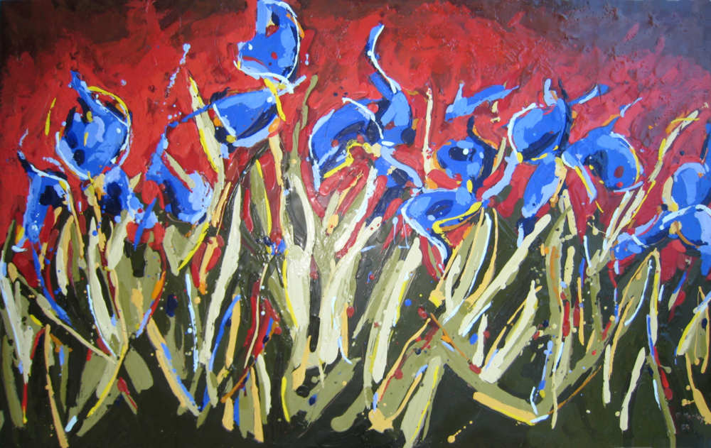 Blue Iris