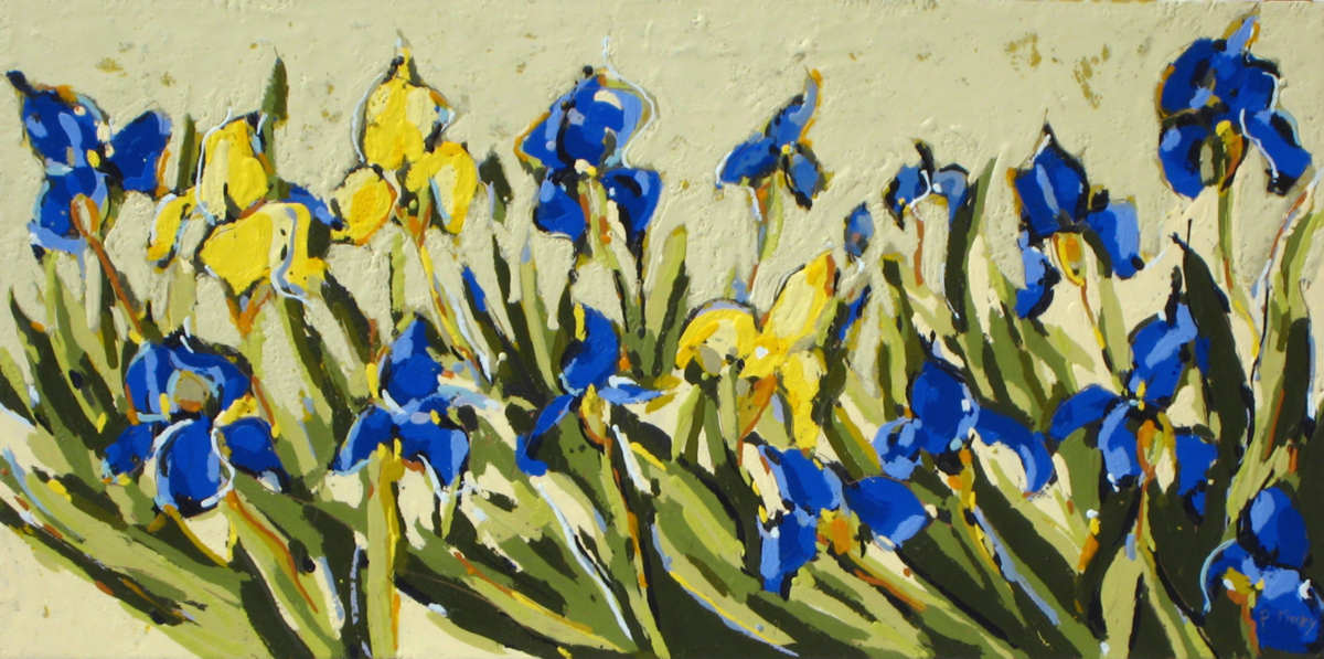 Blue Iris IV