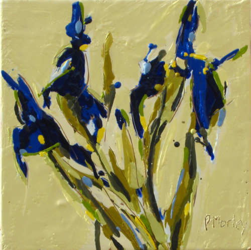 Blue Iris VII