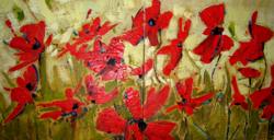 Gold Poppies - click for larger image