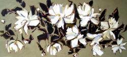 Peonies I 06 - click for larger image